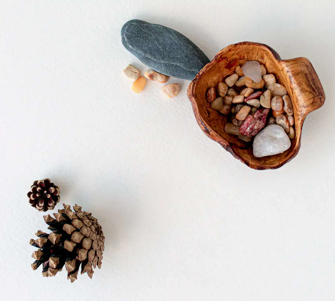 Naturmaterialien wie Zweige Blätter und Steine für selbst gemachte Spiele