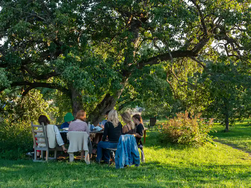 Freunde sitzen gemeinsam draußen an einem Tisch unter einem großen Baum