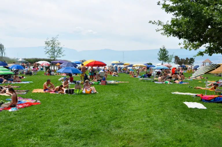 Menschen entspannen an einem sommerlichen Seeufer auf einer grünen Wiese