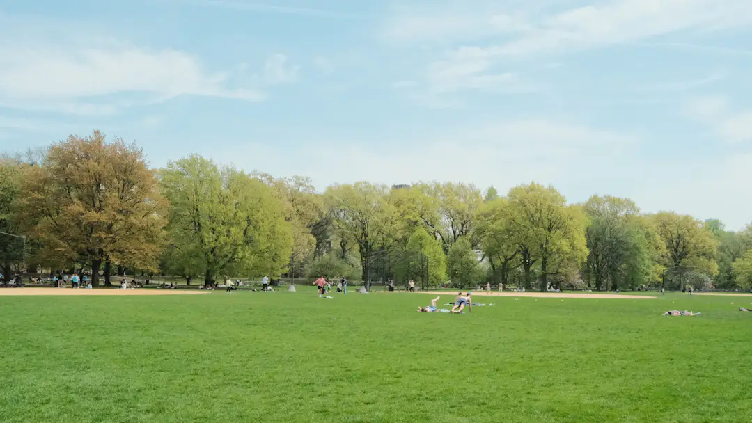 Menschen verbringen gemeinsam Zeit auf einer grünen Wiese